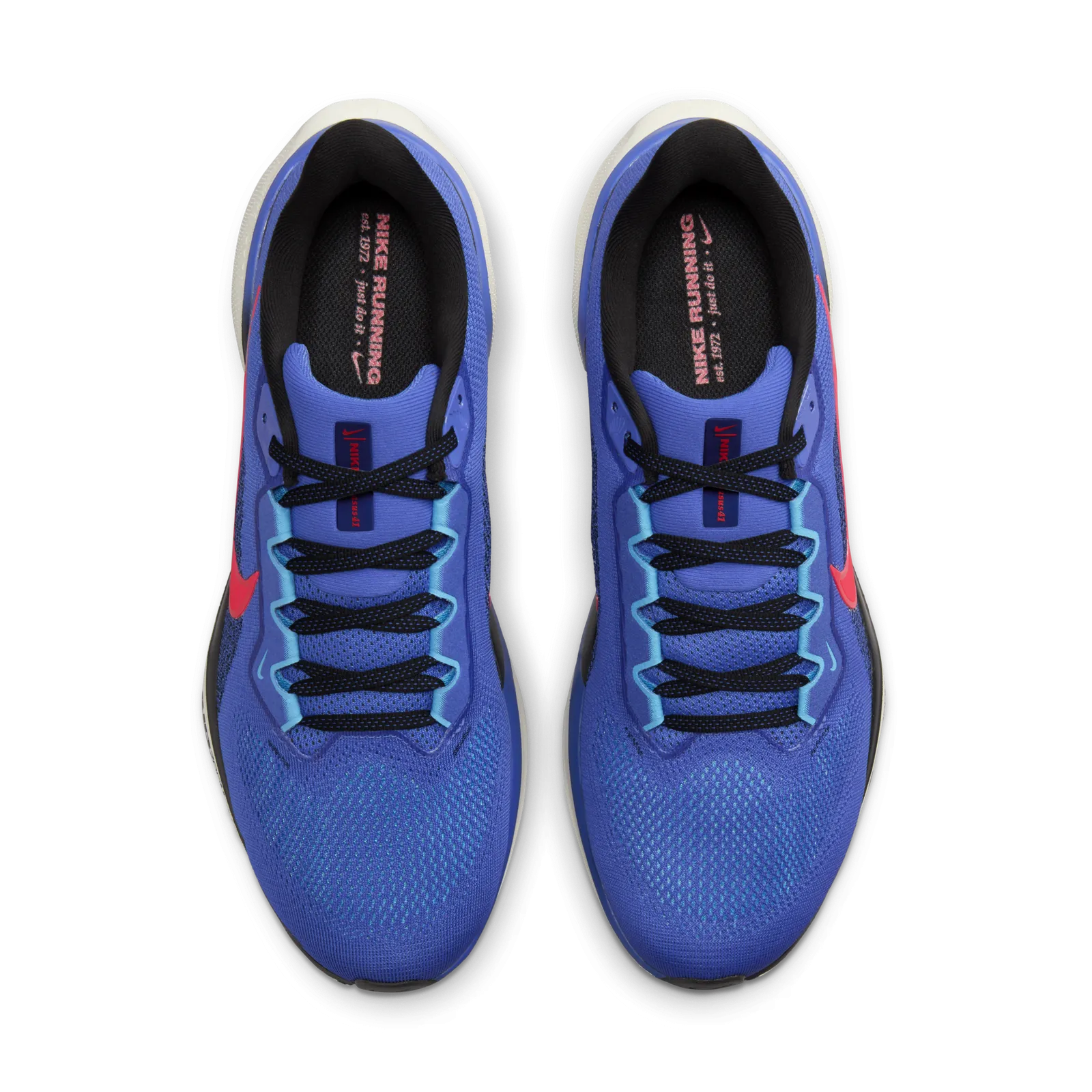 Nike Air Zoom Pegasus 41 FD2722-401